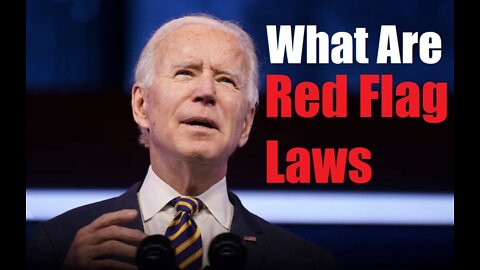 What Are Red Flag Laws (And Why They Are Bad!)