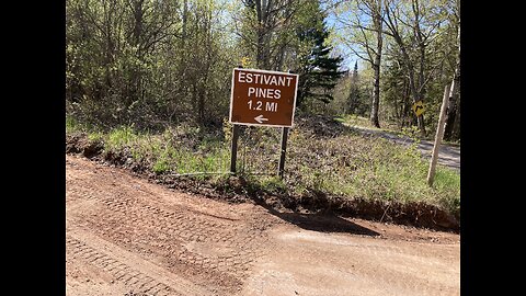 Estivant Pines, Copper Harbor, Michigan