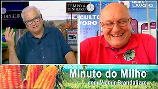 Milho mantendo oportunidades no Brasil