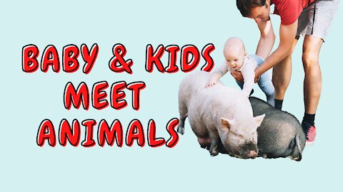 Look How Funny The Kids When They Meet Animals — Try Not To Laugh 😁