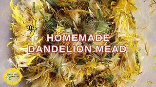 Making Dandelion Mead and Foraging in an Avalanche Path