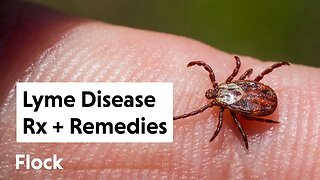 Got Bit by a TICK: Now What? HERBS & MEDS for LYME DISEASE — Ep. 199