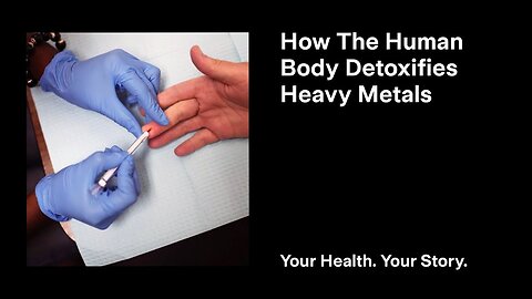 How the Human Body Detoxifies Heavy Metals