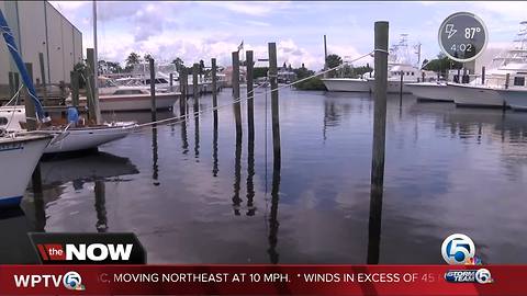 Treasure Coast business owners prepare for algae-filled 4th of July