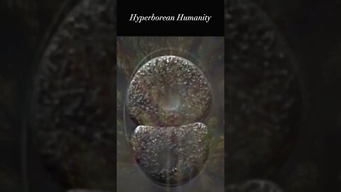 Hyperborean Humanity | Gigi Young #shorts