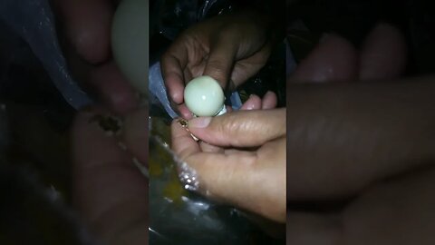 Quail Egg in the Bus only in Philippines #quail #eggs #philippines #shorts