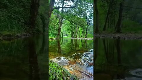 Green seen 🌱🌴 #naturephotography #nature_perfection #naturecaptures #naturesfinest #natureaquarium