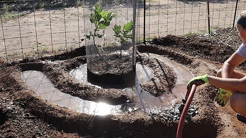 Planting & Irrigating Trees Against a Fence