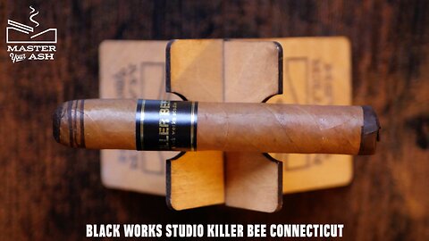 Black Works Studio Killer Bee Connecticut Review