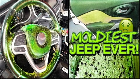Deep Cleaning the MOLDIEST BIOHAZARD Jeep EVER! Satisfying Disaster Car Detailing Transformation!