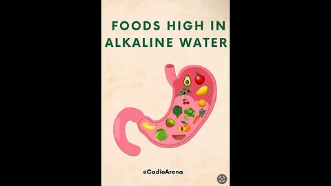 Fuel (FOOD) High N ALKALINE Water