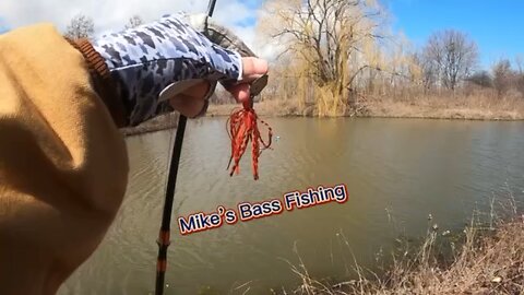 Cold windy morning bass fishing