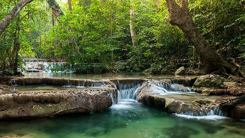 Exploring Earth's Diverse Biomes: A Journey Through Nature's Marvels