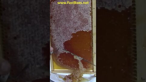 Honeycomb Capping Removal