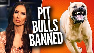 HEATED: Panel Debates if Pit Bulls Should Be BANNED
