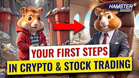 Trading basics for stocks and crypto 📈: 5-Step Guide ⚡️ Hamster Academy