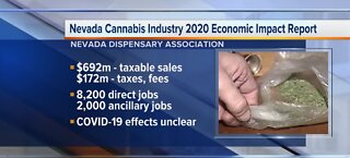 Nevada cannabis industry 2020 Economic Impact Report