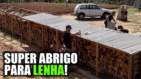 Agora sim! Temos ESTOQUE de lenha para ANOS!