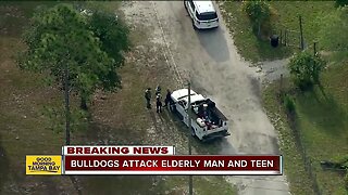 Teen, elderly man attacked by pack of dogs in Pasco County