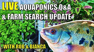 Aquaponics Live Stream Q&A With Rob & Bianca + Farm Search Update