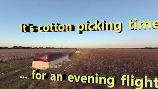 Cotton Picking Time for a Paramotor Flight