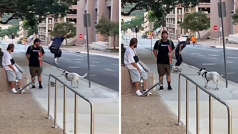Boundless Airborne: Skater's Spectacular Leap Over Dog's Leash Leaves Onlookers Awestruck!"