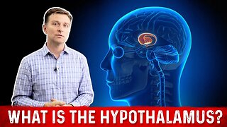 What is the Hypothalamus and its Function? – Dr. Berg