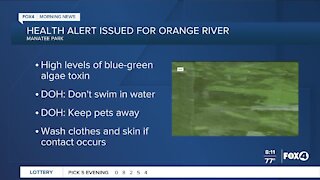 Health alert issued blue green algae alert