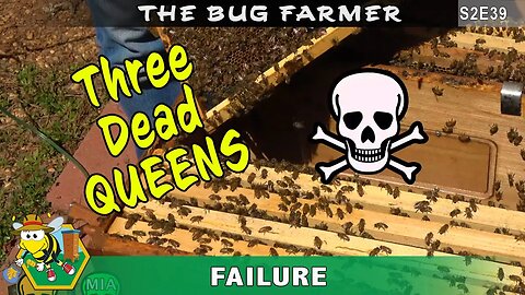 Three Dead Queens? -- What is the fate of the three queens?