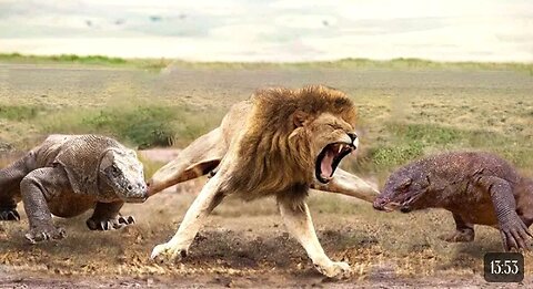 Aghast! The Brutal Moment When the Fierce Lion Couldn't Avoid The Giant Lizard Bites| Wildlife 2023