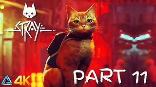 Let's Play! Stray in 4K Part 11 (PS5)