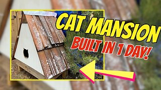 Tiny A-Frame Cat House | Building a Kitty Mansion | Woman Builds Tiny House in the Woods