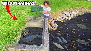 Catching Wild PIRANHAS For Backyard POND!