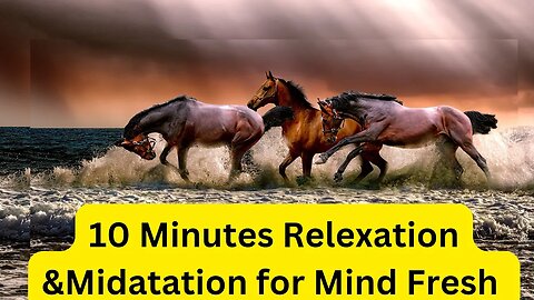 4k 10-Minute Wildlife Relaxation: Soothing Nature Sounds, Stunning Animals, and Mental Break