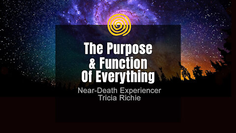 Near-Death Experience - Tricia Richie - The Purpose & Function Of Everything