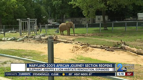 Maryland Zoo's African Journey section reopens