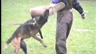 VTS 01 2 Tom Brenneman in Germany working and Testing some young dogs for Police K9