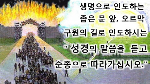 미혹(중독)되게 하여 멸망으로 인도하는 그 곳에서 당장 피하여 도망쳐 나오십시오.~!