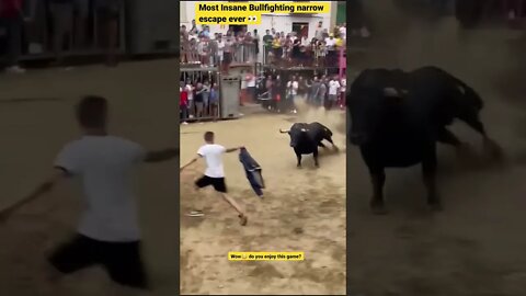 Most Insane Bullfighting narrow escape ever 👀 #subsback💯 #shorts #animals #wildlife #bullfighting