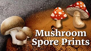 How to Make Mushroom Spore Prints