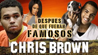 CHRIS BROW - Después De Que Fueran Famosos - RIHANNA