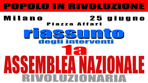 Riassunto dell'Assemblea Nazionale Rivoluzionaria