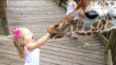 FORGET CATS! Funny KIDS vs ZOO ANIMALS are WAY FUNNIER! - TRY NOT TO LAUGH