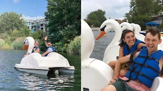 Tu peux louer des pédalos en forme de cygne ce mois-ci à Montréal et c'est juste parfait