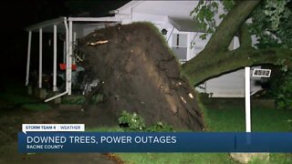 Downed trees, power outages left behind after Thursday night's storms