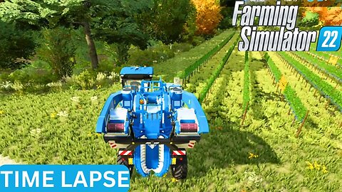 BUSY BUSY Bloomfield 53 Farming Simulator 22 Time Lapse