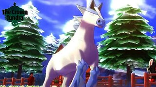 Finding the King's Steed (Glastrier) in Pokemon Sword and Shield Crown Tundra