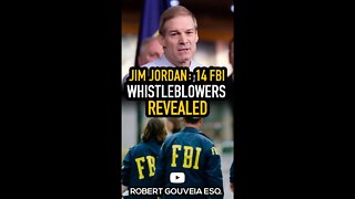 Jim Jordan: 14 FBI Whistleblowers REVEALED #shorts