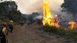 What Went Wrong with the Lahaina Fires? Latest Press Conference