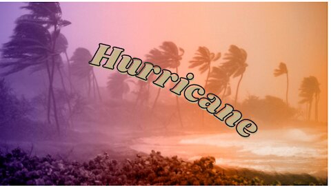 Hurricane Michael historic storm